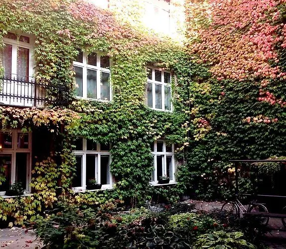 Jonek * كراكوفيا