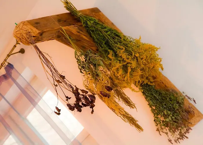 Jonek شقة كراكوفيا