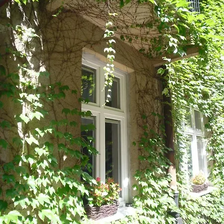 Jonek Krakau