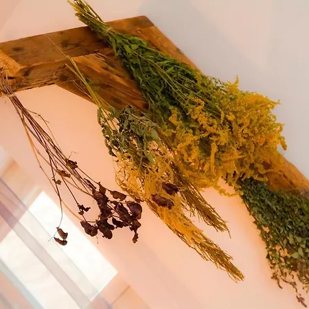 Jonek Appartamento Cracovia