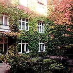 Jonek * Cracóvia